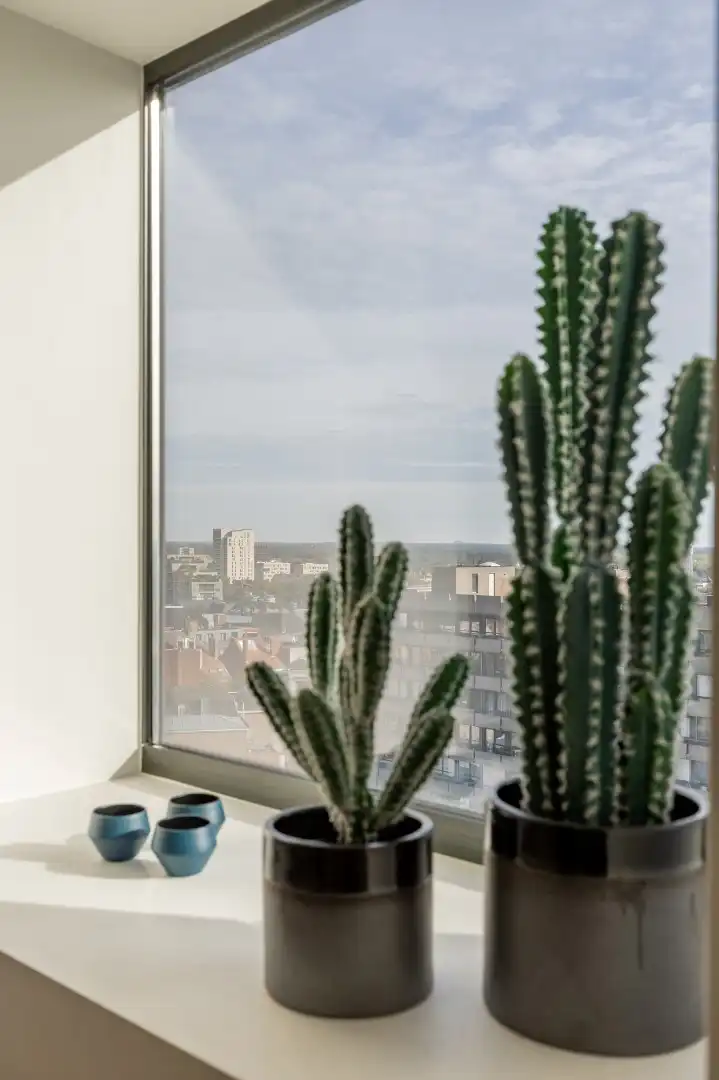 Appartement op de 10de verdieping van 127m² met twee slaapkamers foto 28