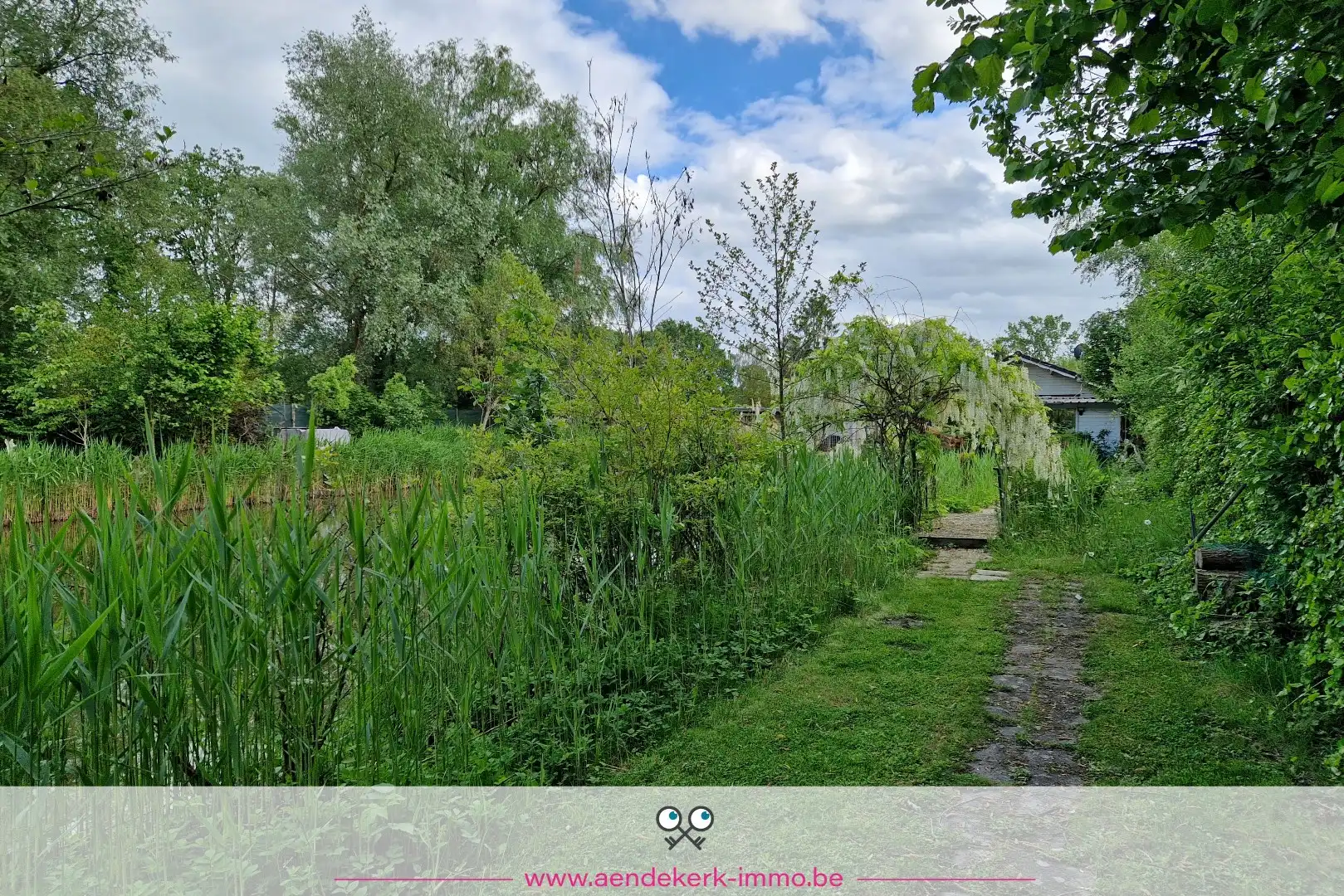 Bijzondere recreatie-eigendom met vijver en bemeubelde chalet te Maaseik foto 22