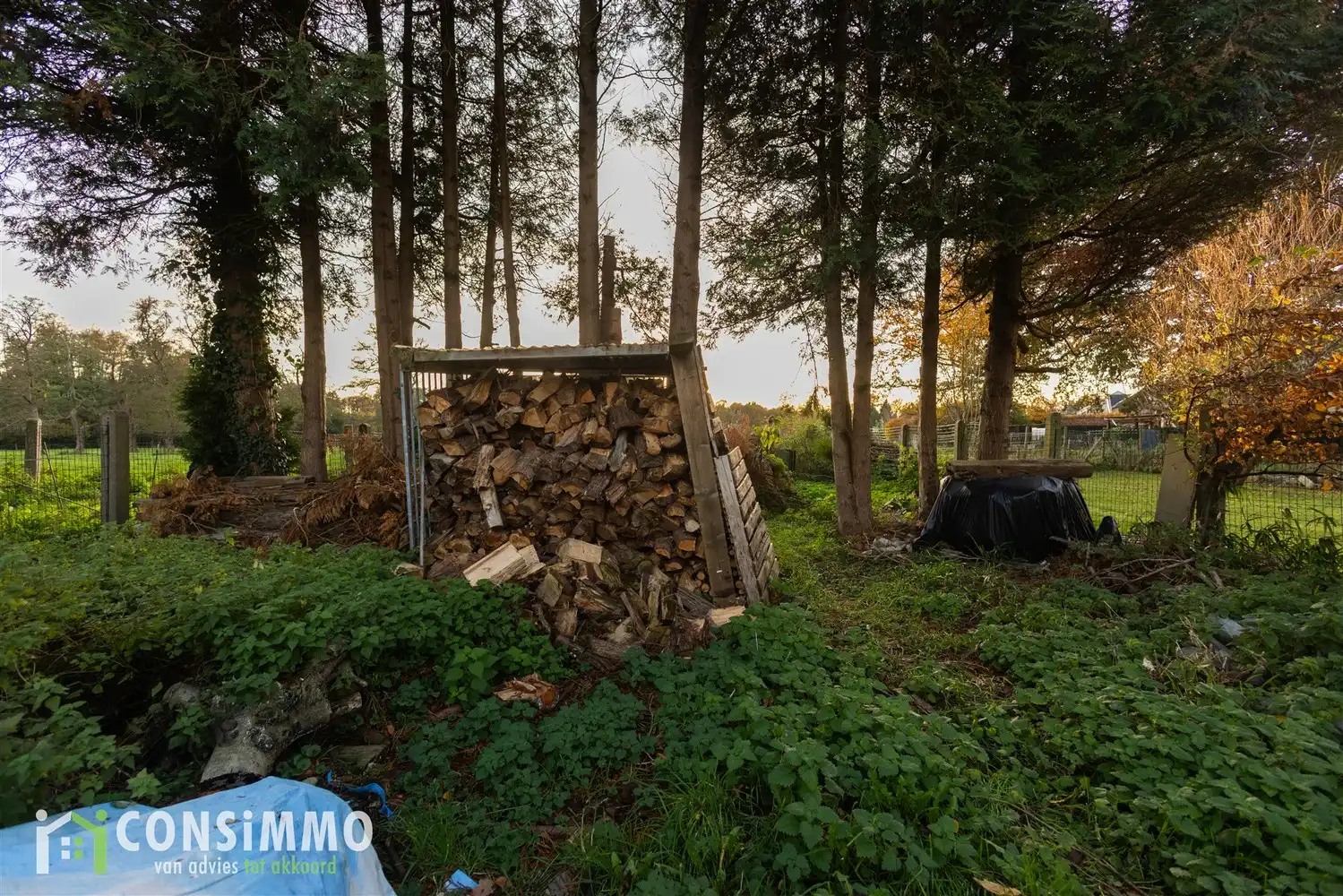 Huis te koop foto 36