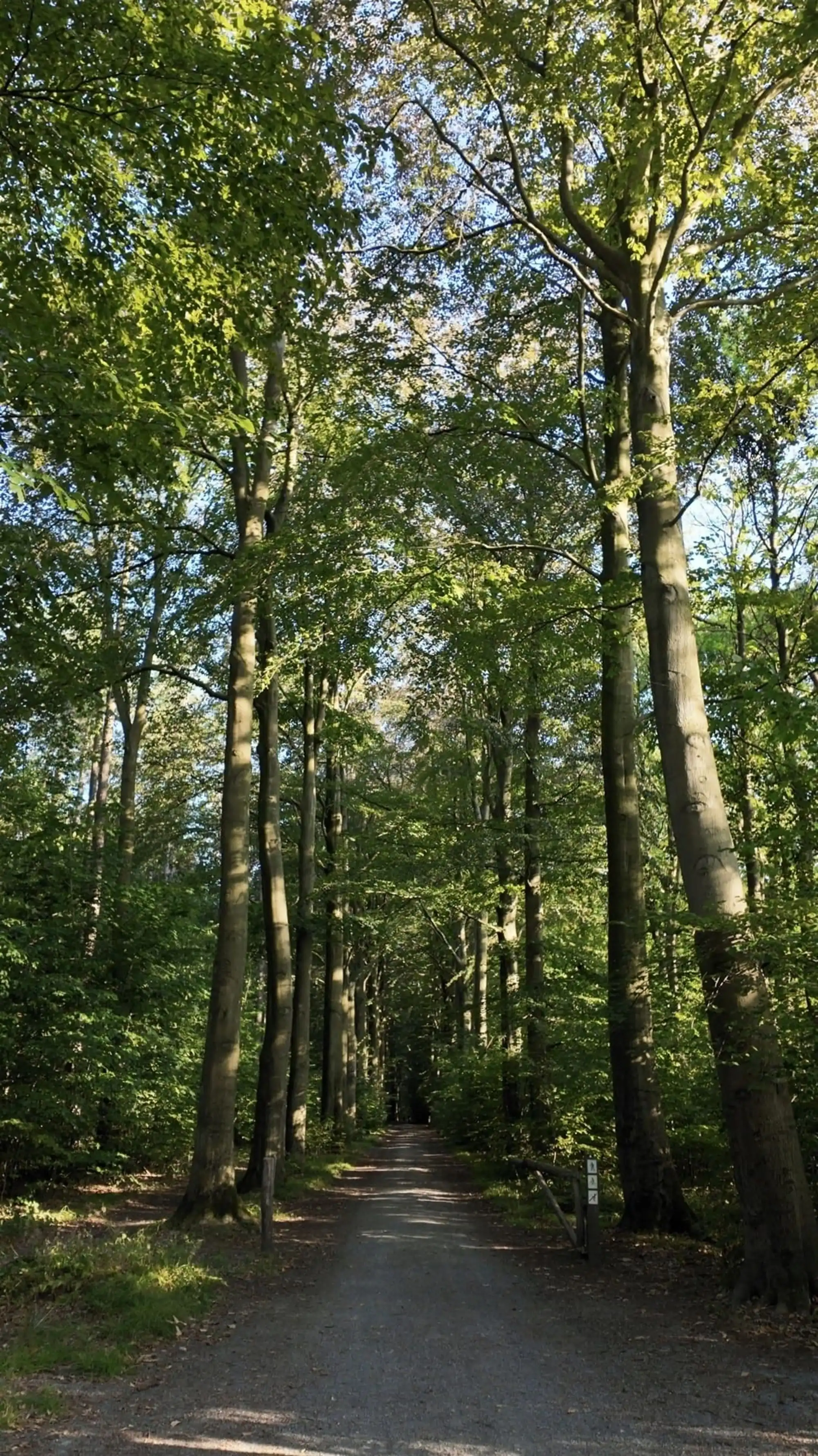 Grond te koop Weertsedreef 15 - 3050 OUD-HEVERLEE