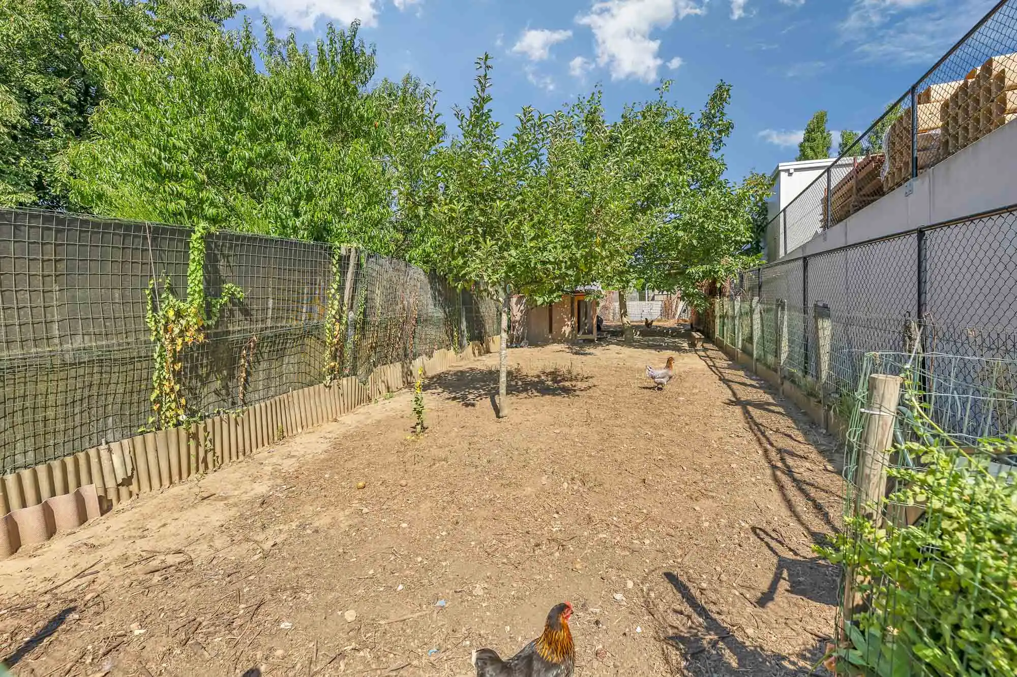 Instapklare woning met tuin in Geraardsbergen foto 23