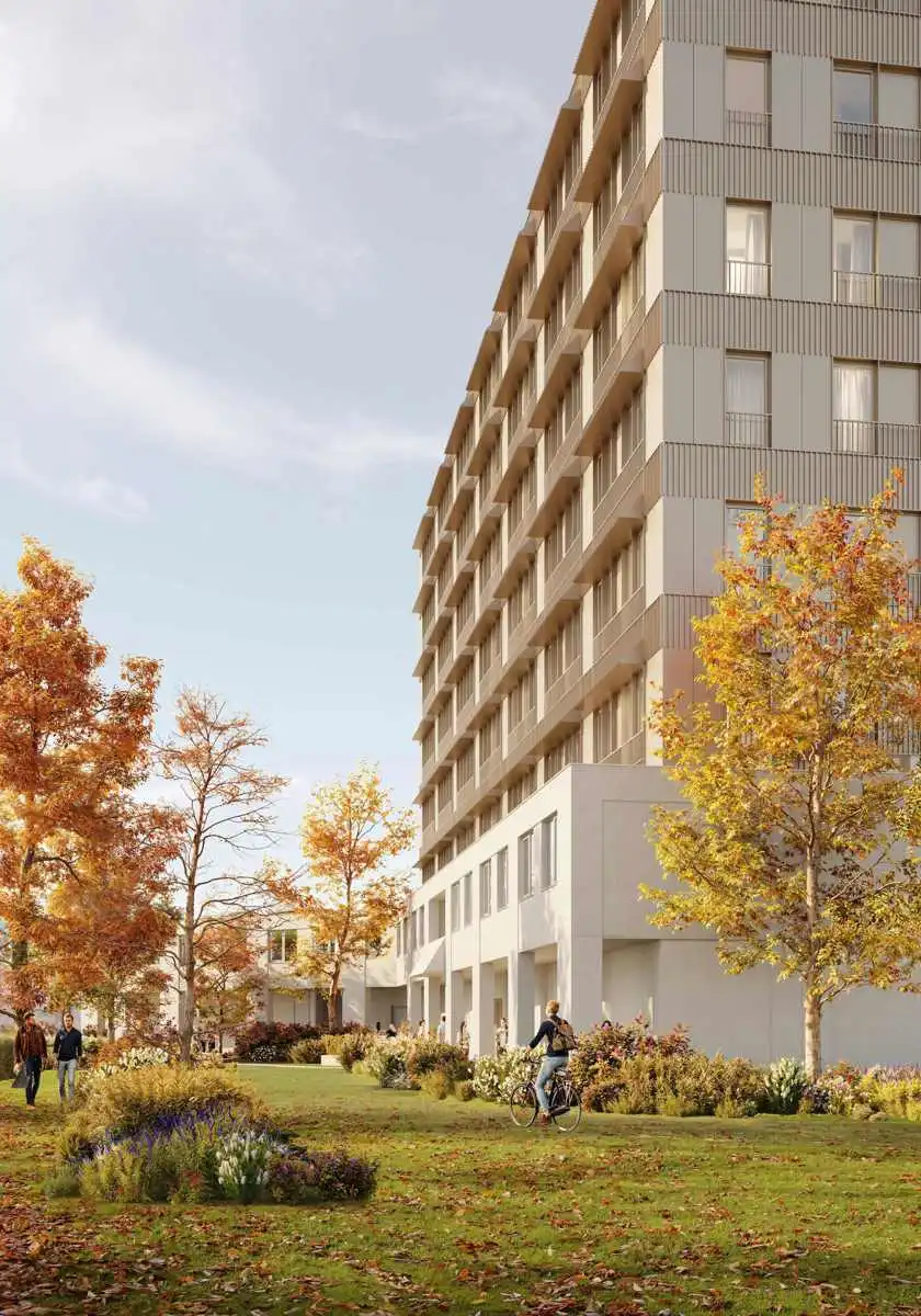 Type Kotter - medium foto 15