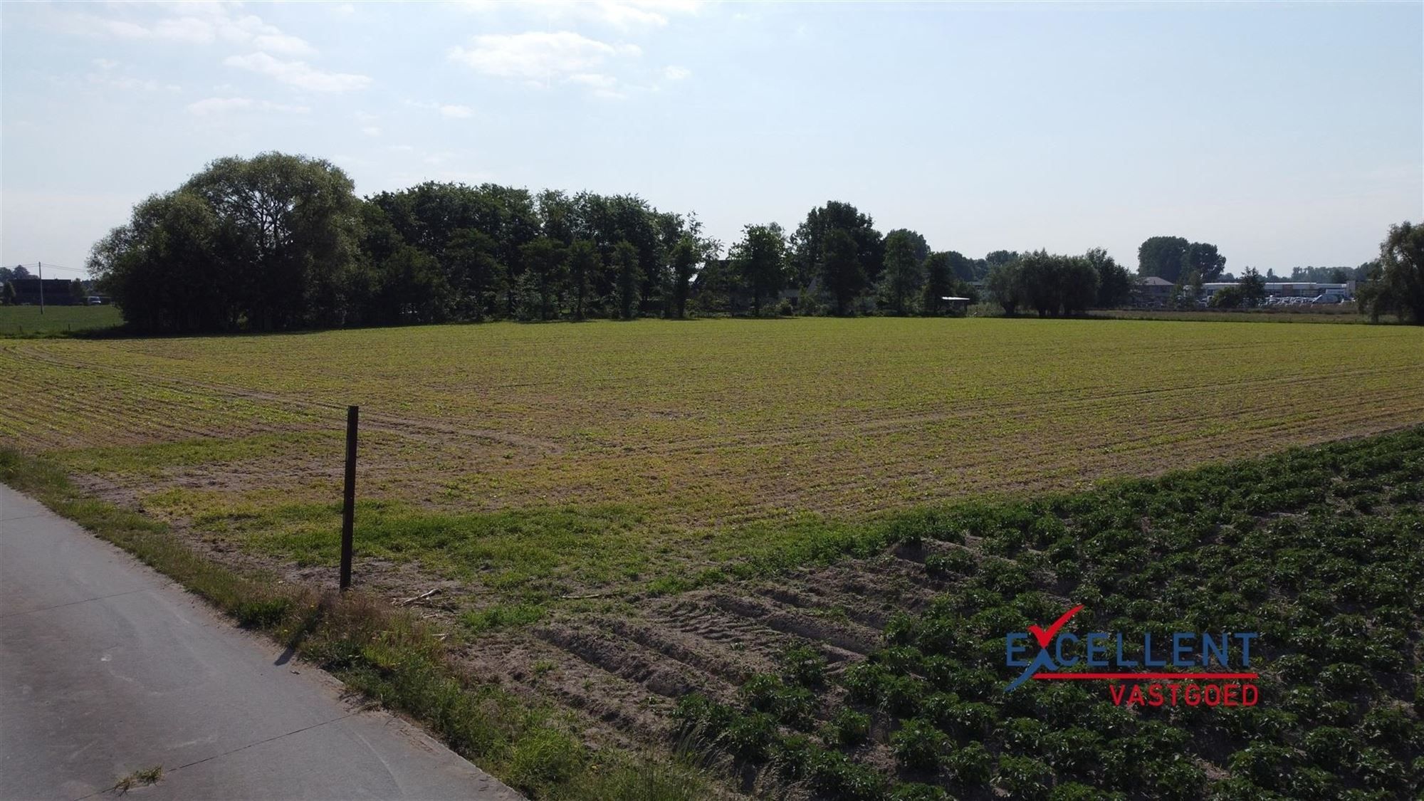 Landbouwgrond te koop te Machelen (Zulte) foto 5
