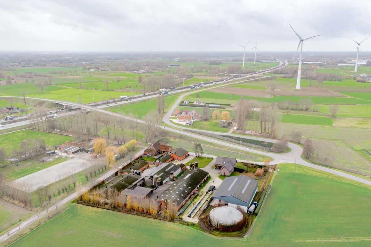 Varkensbedrijf te koop te Lochristi foto 3