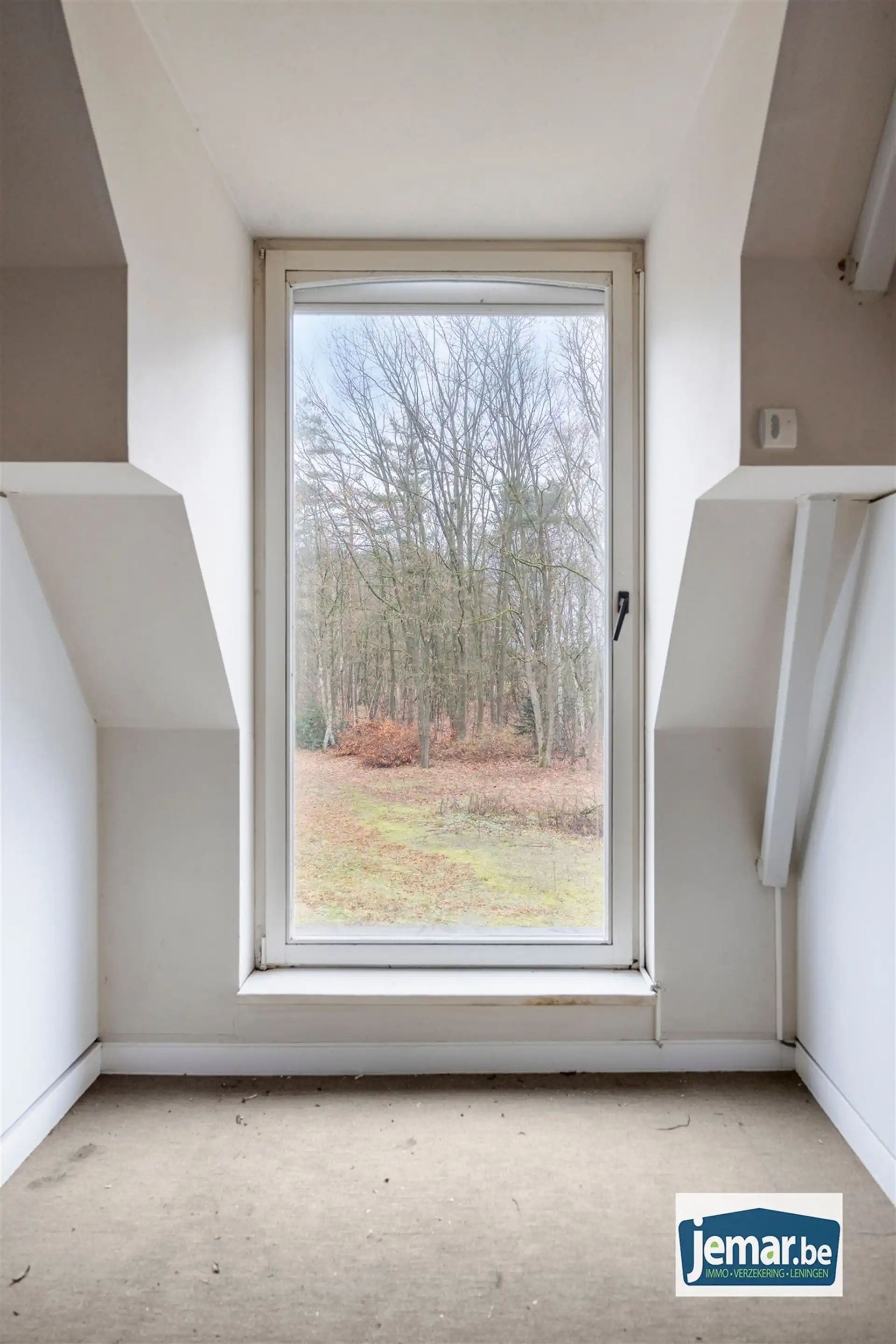 Villa met professionele opslagruimte, kelder en kantoorruimtes. foto 49