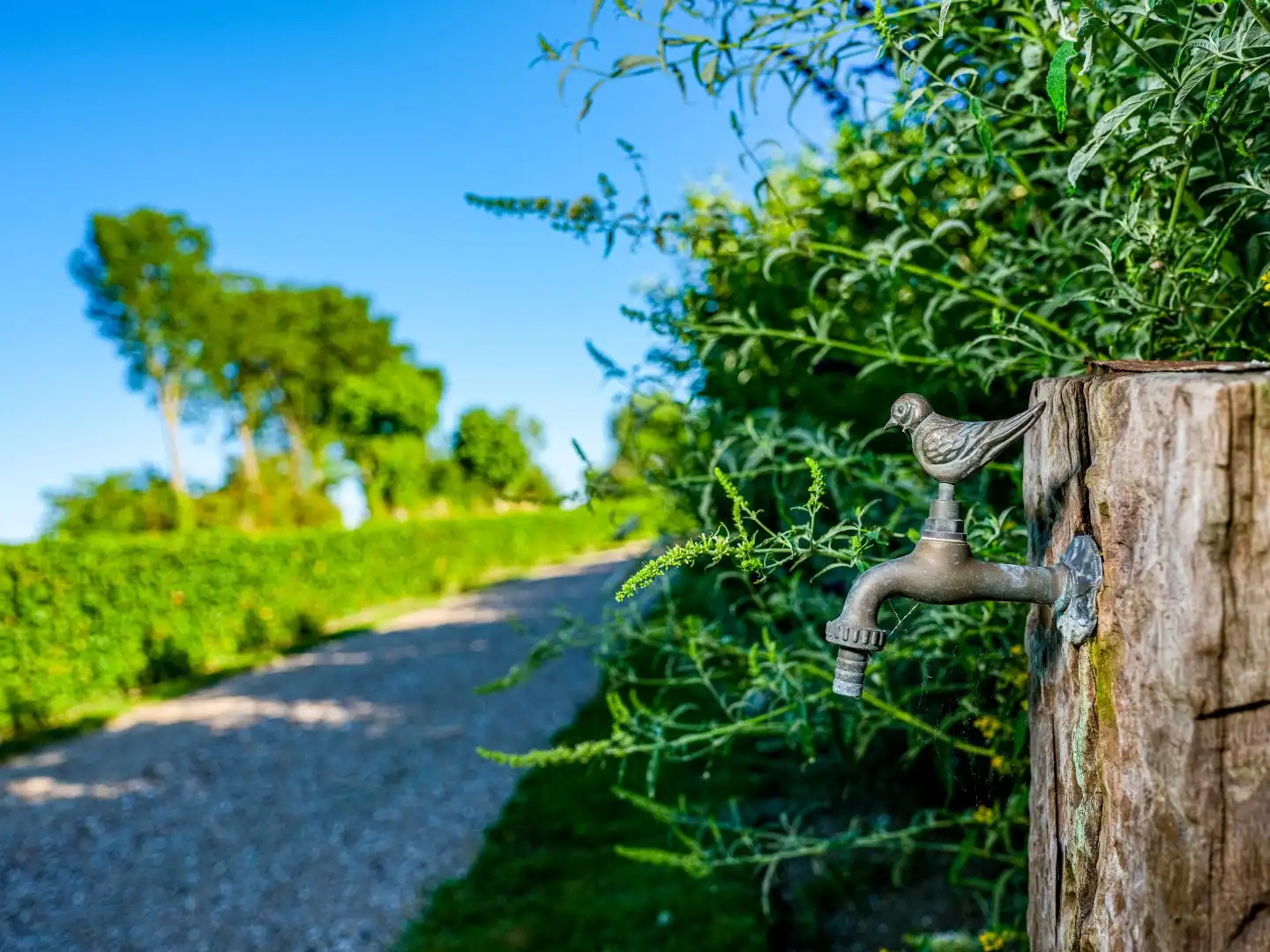 Het Spiegelmeer foto 47