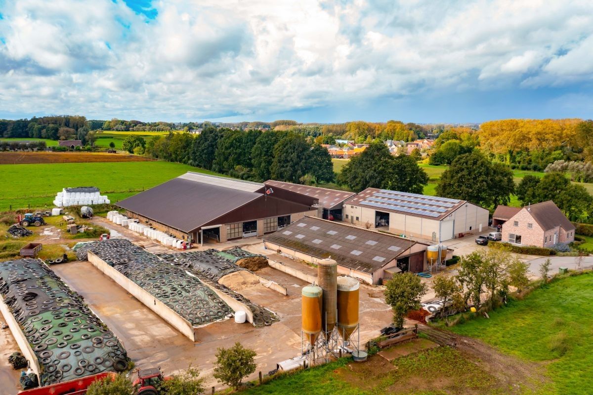 Hoogproductief melkveebedrijf te koop omgeving Aalst met circa 10 ha huiskavel foto 7