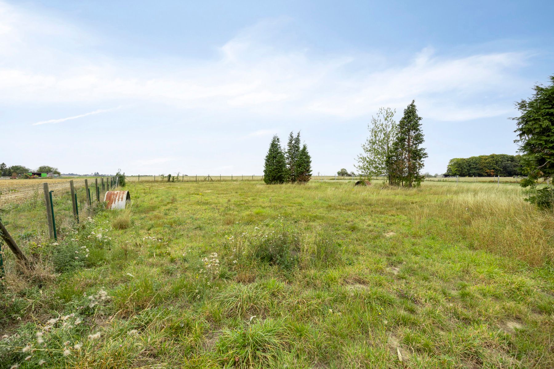 Exclusieve villa met grote loodsen combineer werken en wonen foto 44
