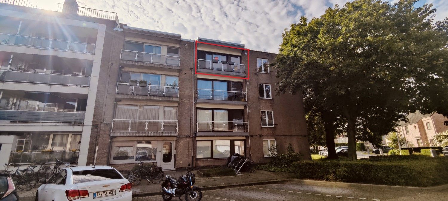 HERTSVELDE 48 foto {{pictureIndex}}