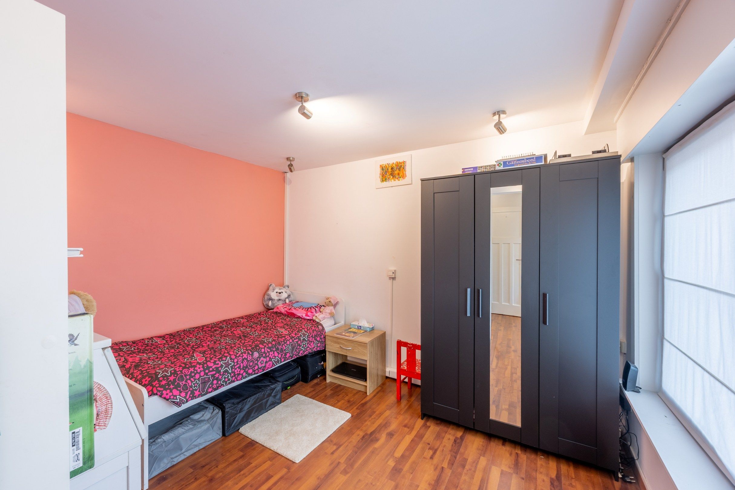 GERENOVEERDE WONING MET TUIN EN UITWEG foto 9