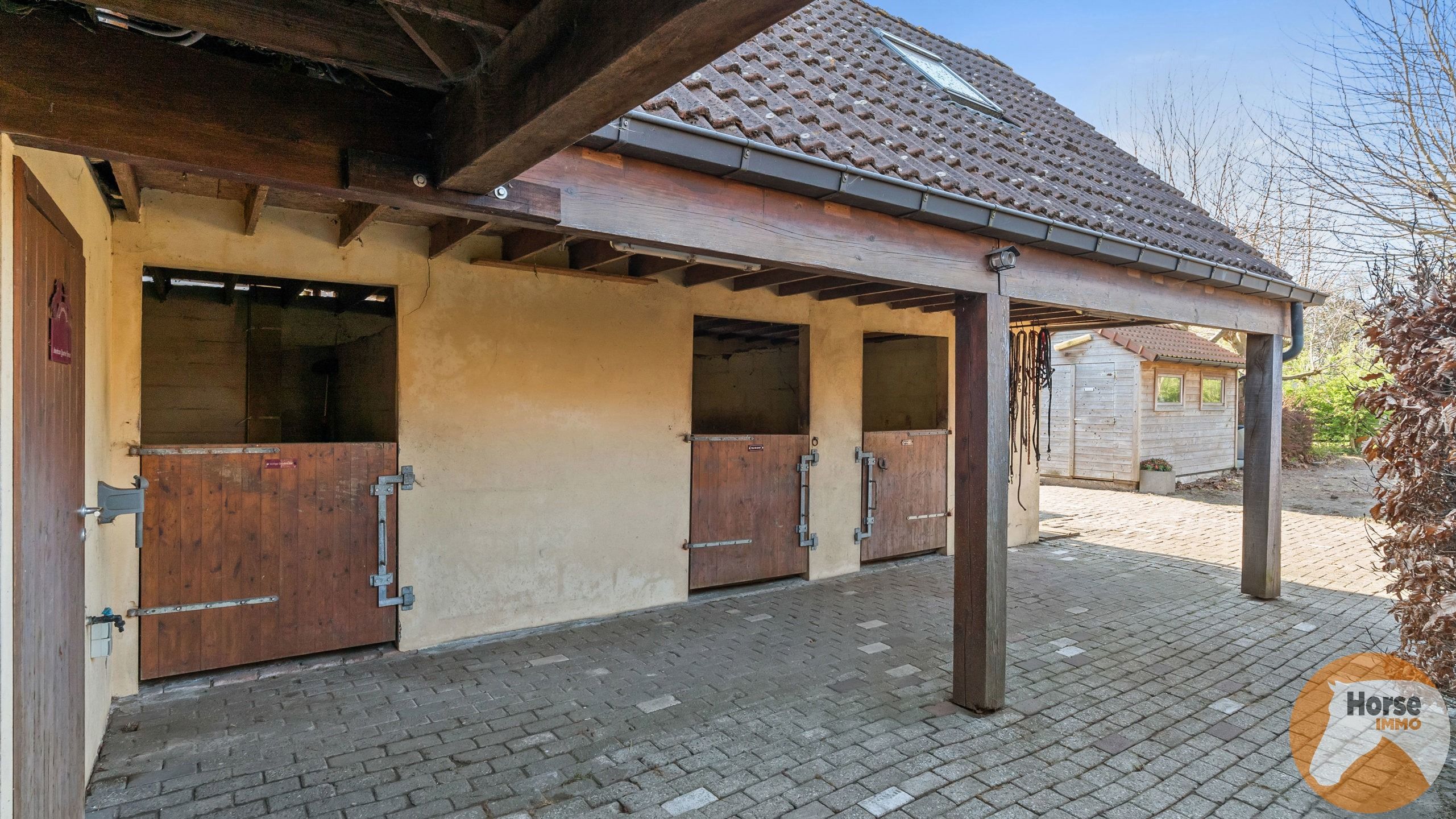 BERLARE - Instapklare woning met stallen en weides foto 6