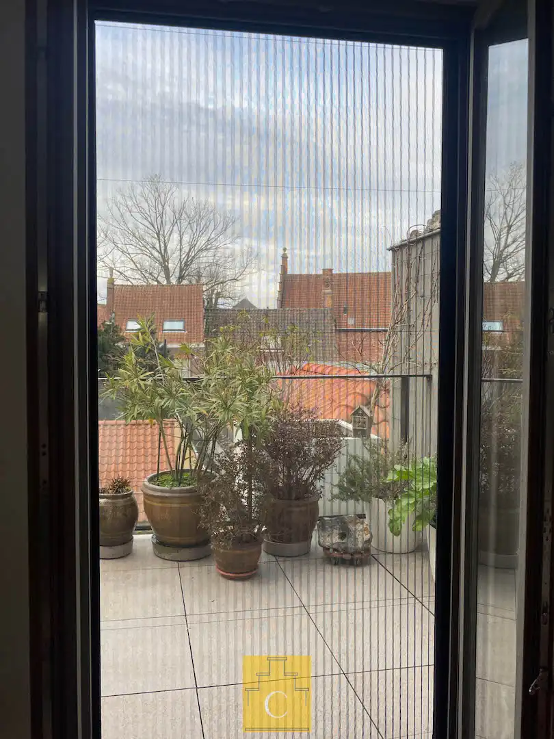 knap dakappartement in 19e eeuws herenhuis met zonnig terras en adembenemende uitzichten foto 7