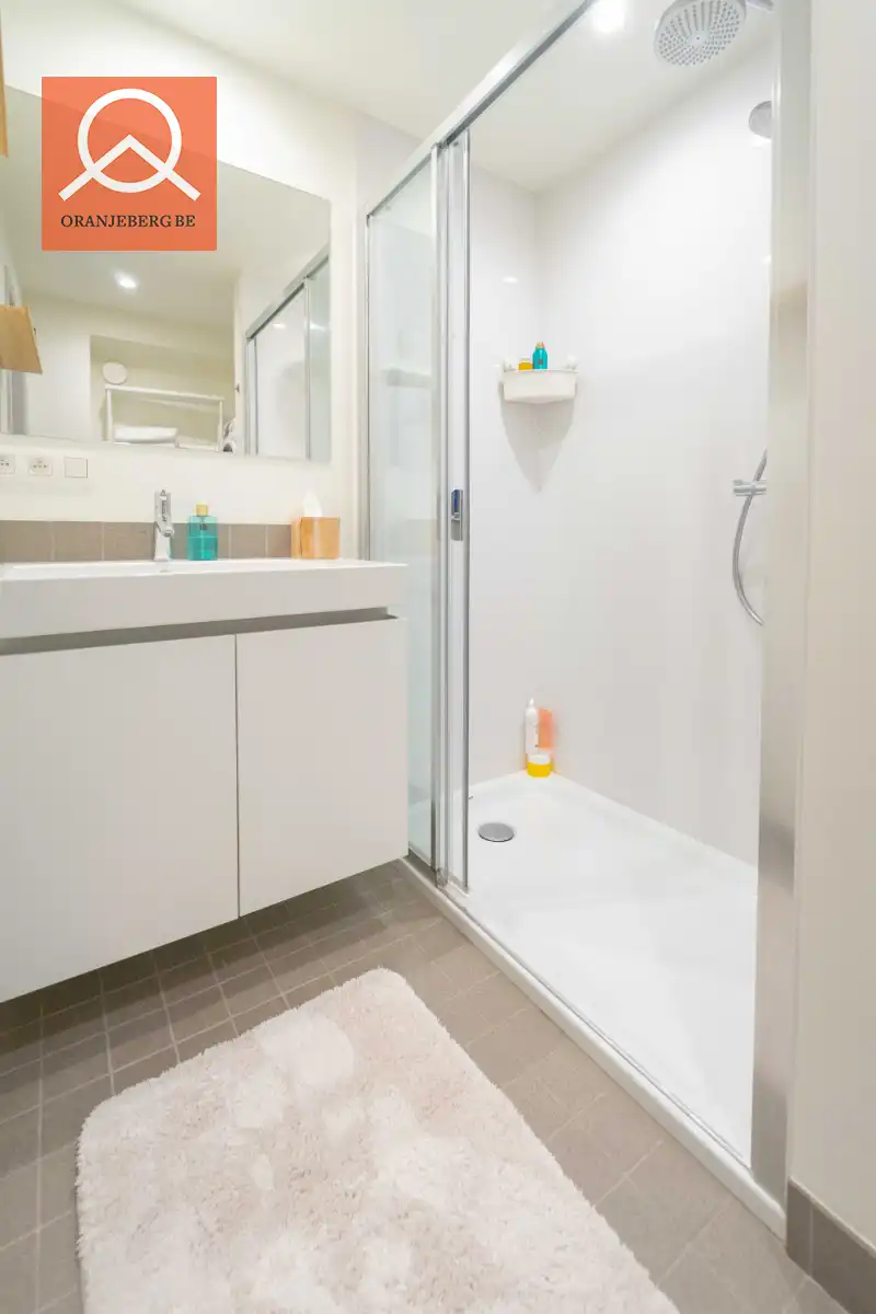 Prachtig gerenoveerd 2 slaapkamerappartement vlakbij de Vrijdagmarkt foto 26