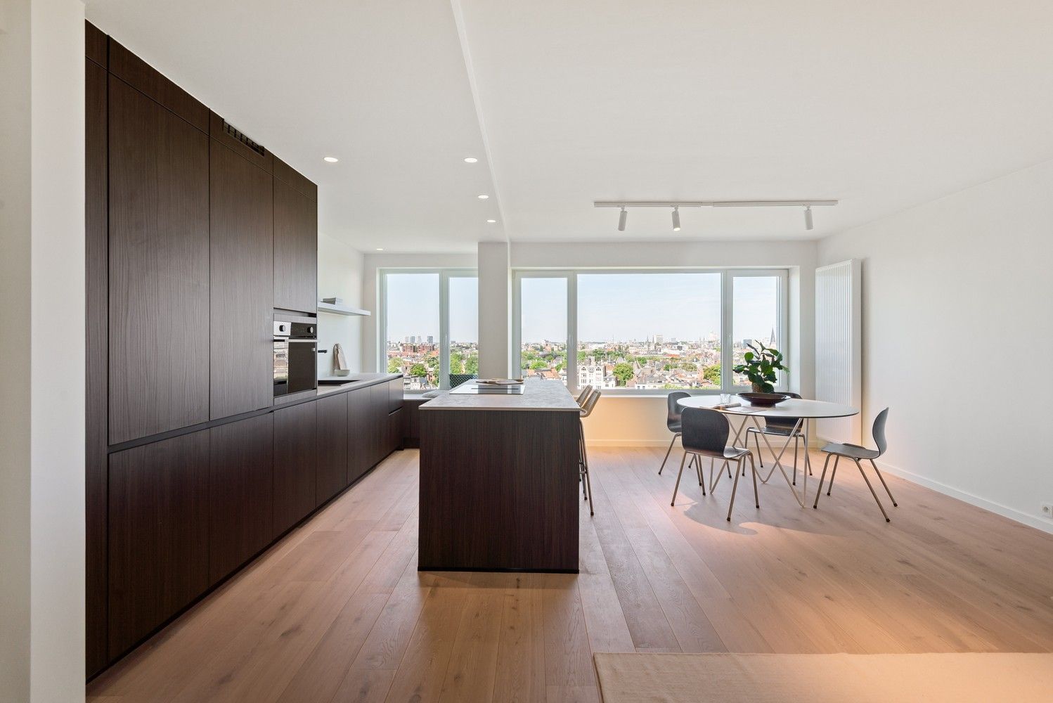 Volledig gerenoveerd appartement met fantastisch uitzicht te Berchem foto 6