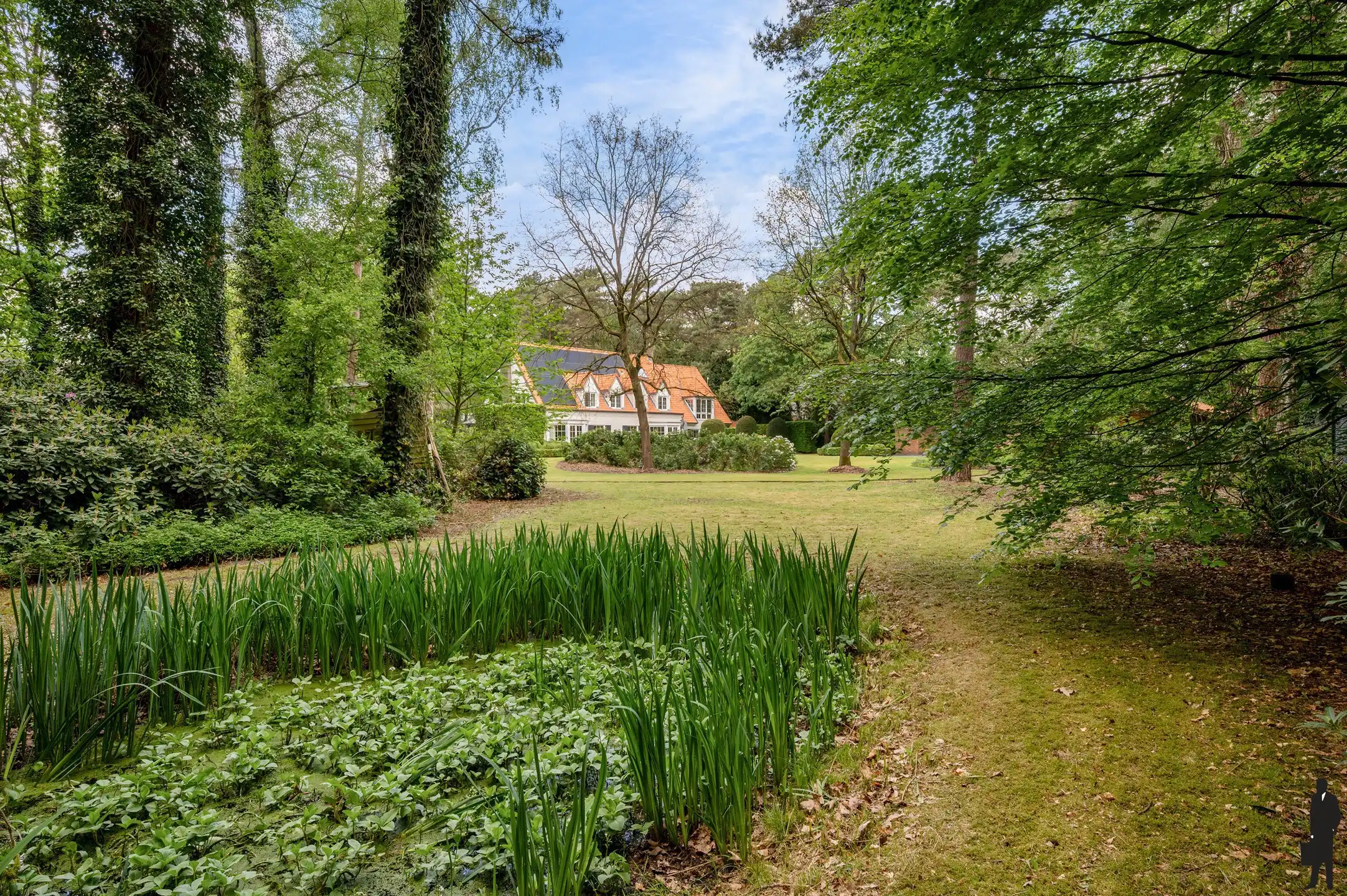 Topgelegen villa met zwembad en paddock!  foto 40