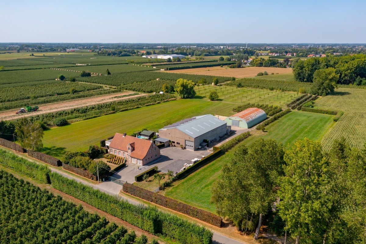 Landbouwbedrijf met villa en loodsen te koop op 2 à 3 ha te Sint-Gillis-Waas foto {{pictureIndex}}