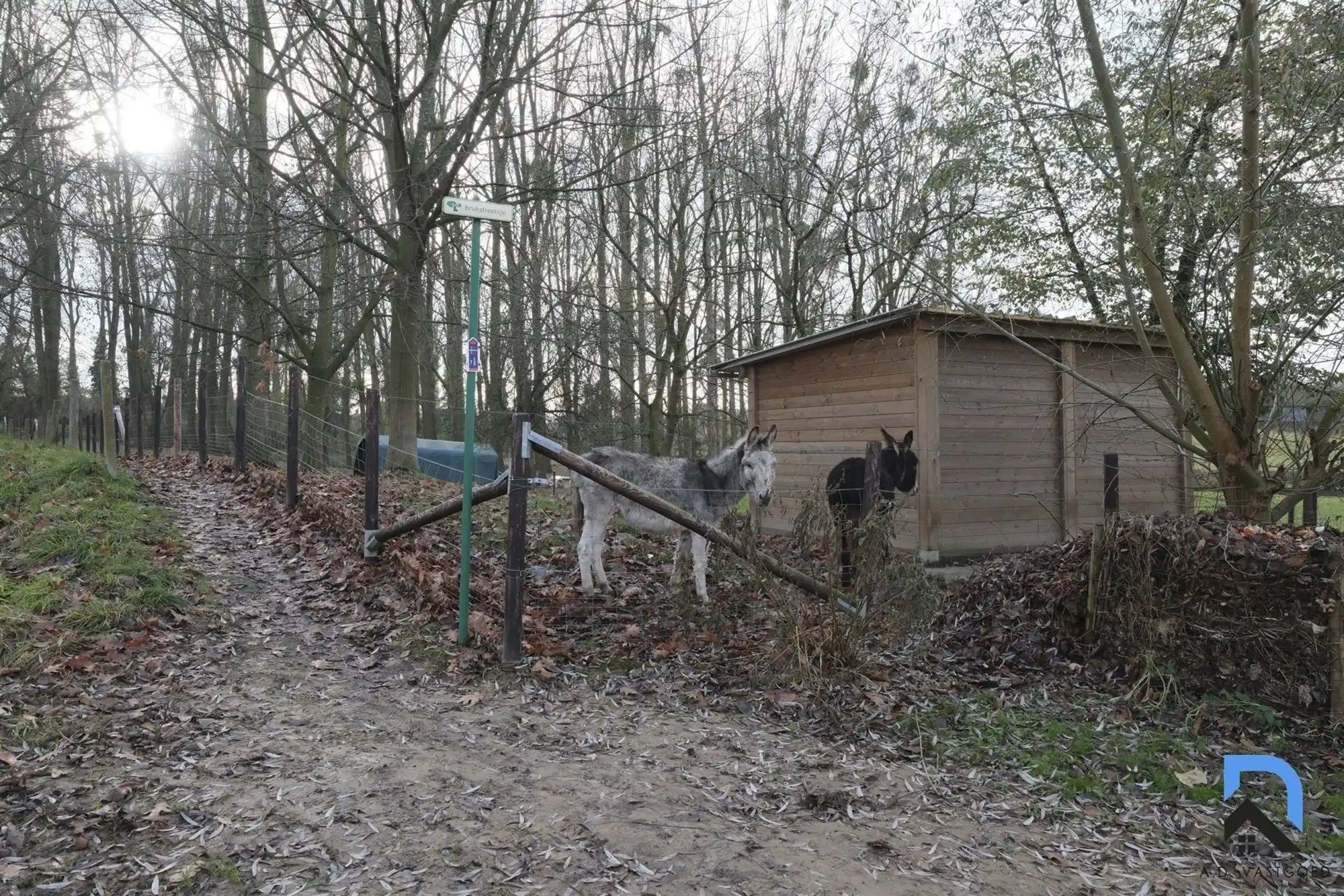 Mooie woning in het groen foto 38