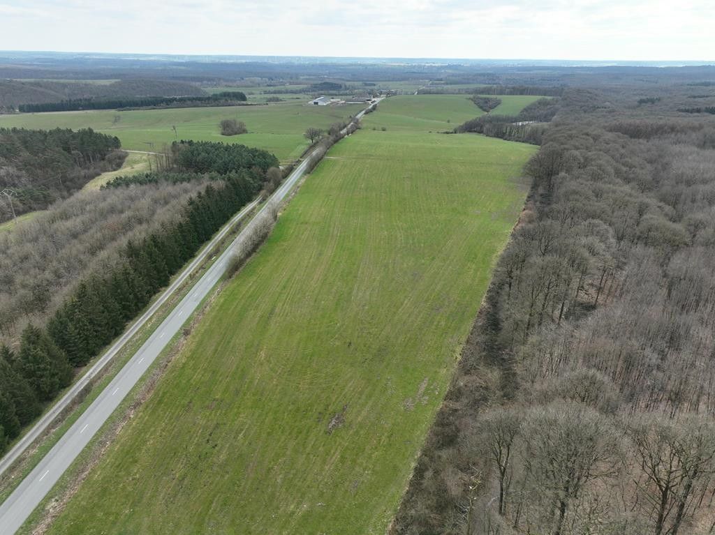 Landbouwbedrijf op 76 hectare in Chimay (Henegouwen) foto 7