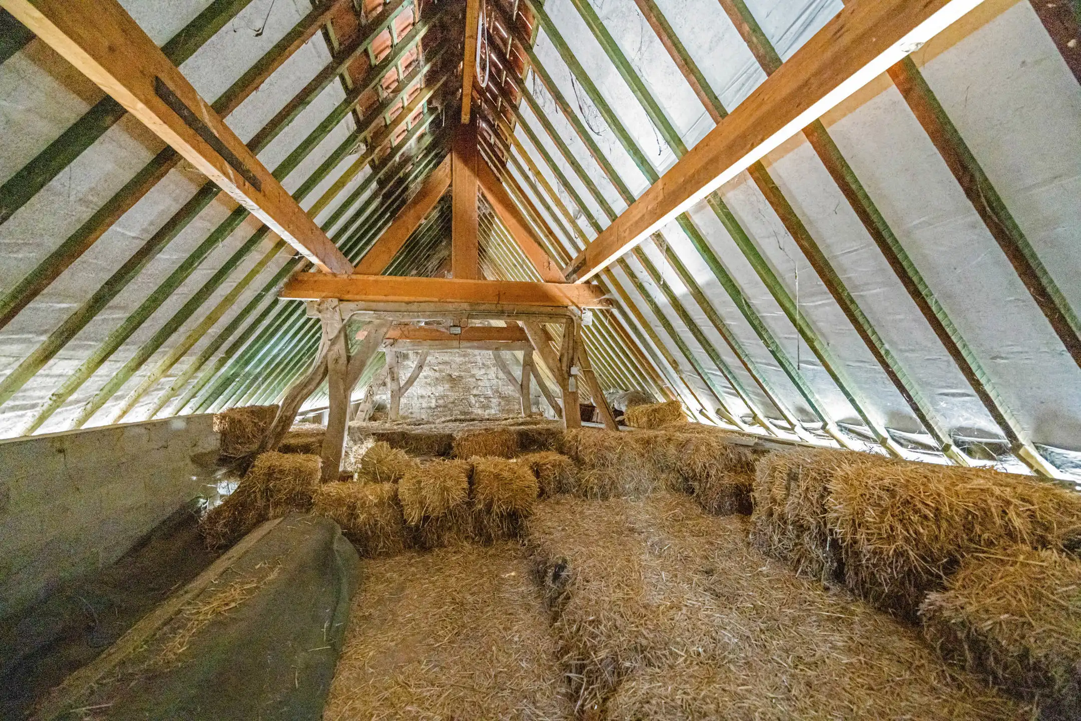 Authentiek landgebouw met unieke woonmogelijkheden foto 3
