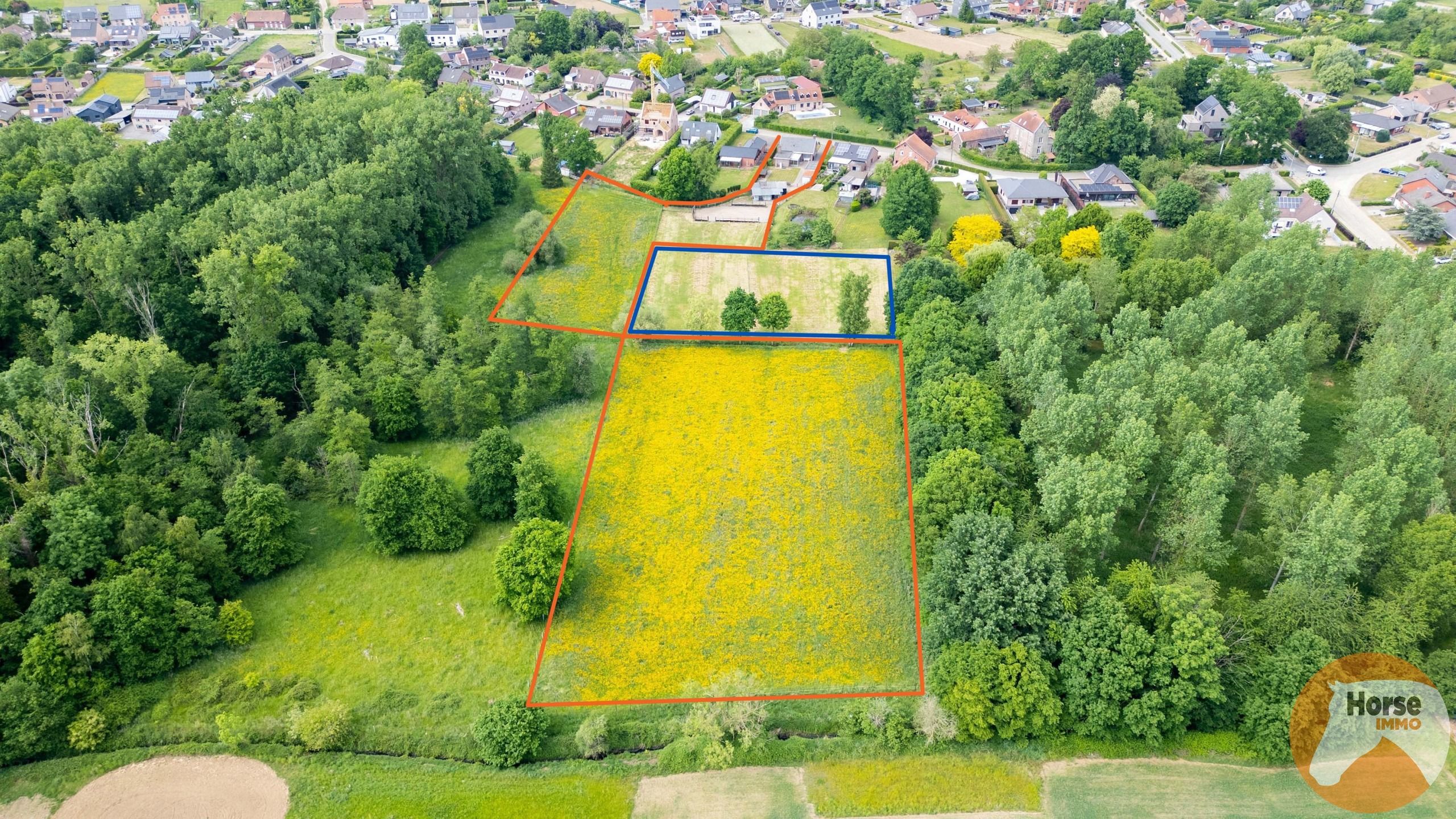 NIEUWRODE - Op te frissen woning op +/- 1ha30a foto 4