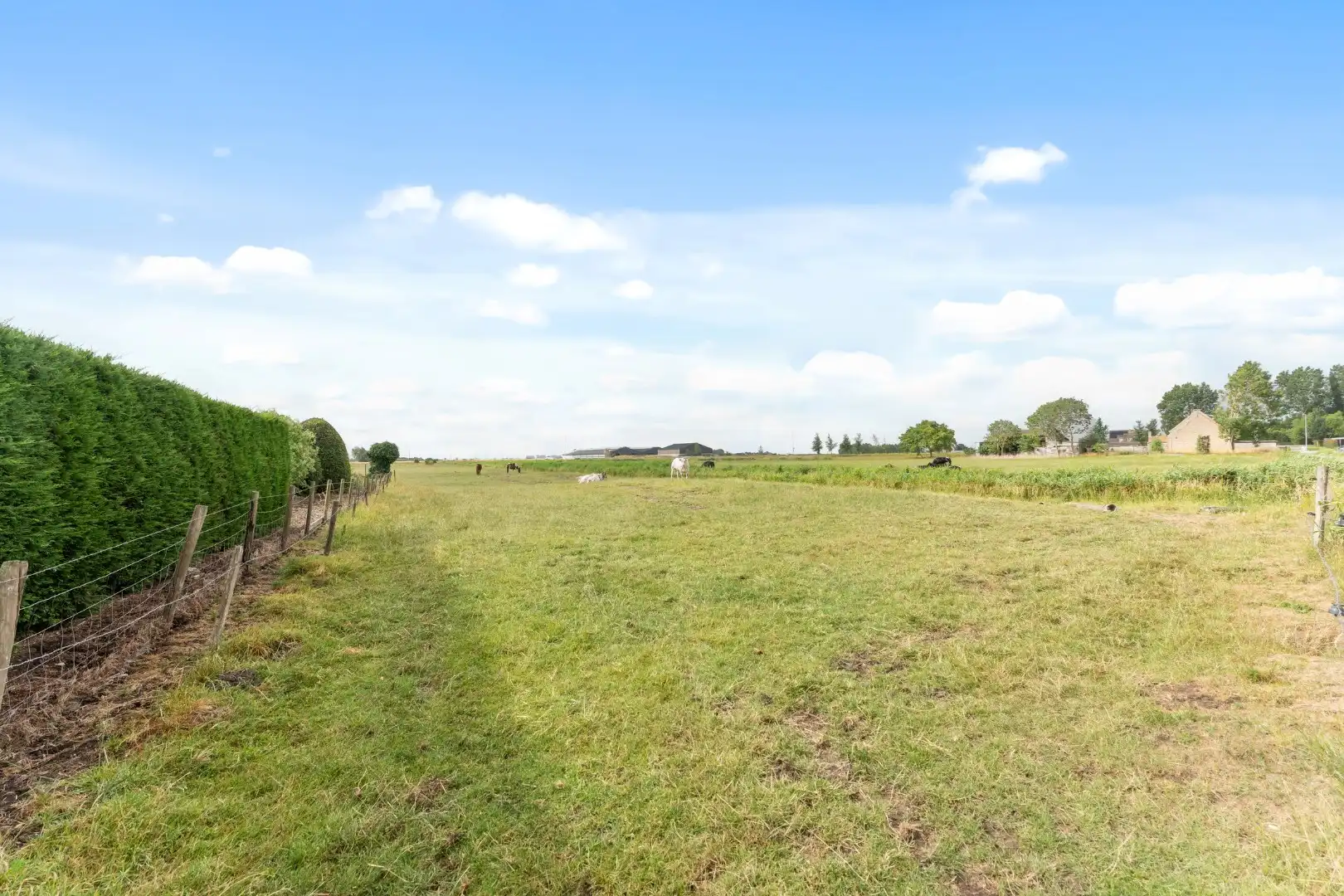 Te koop: Unieke bouwgrond in het hart van pittoresk Slijpe – 748 m² in een groene omgeving foto 12