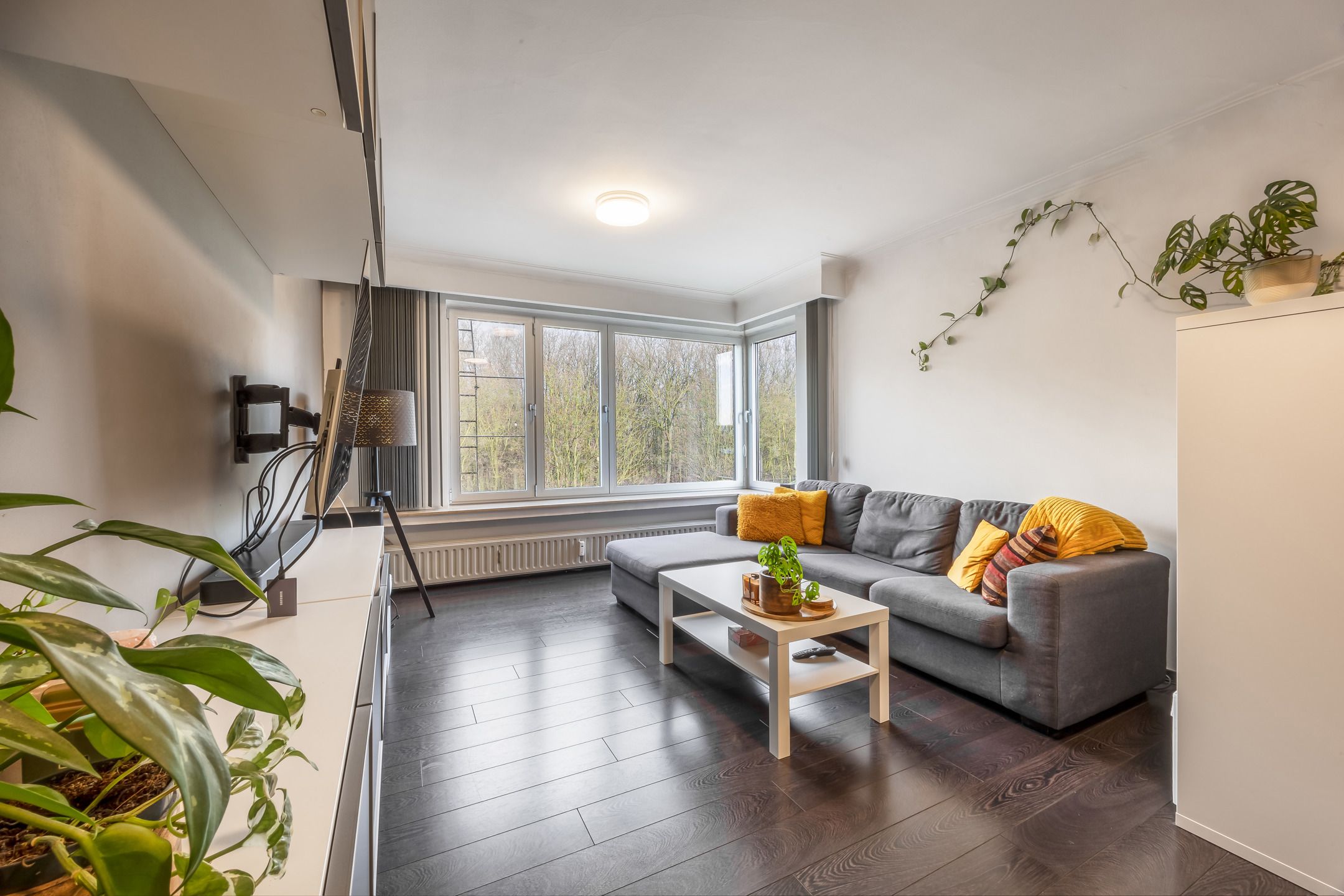 Mooi hoekappartement met open keuken en 1 slaapkamer foto 5