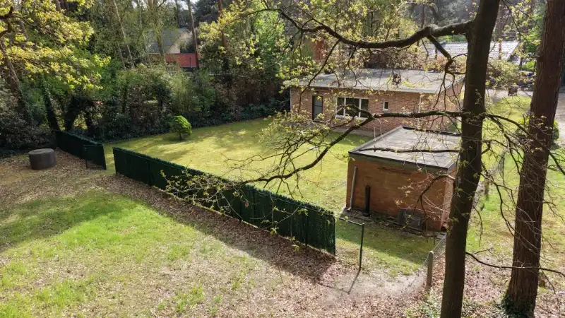 Zeer rustig en residentieel gelegen perceel van 10 are 81 ca met landhuis foto 6