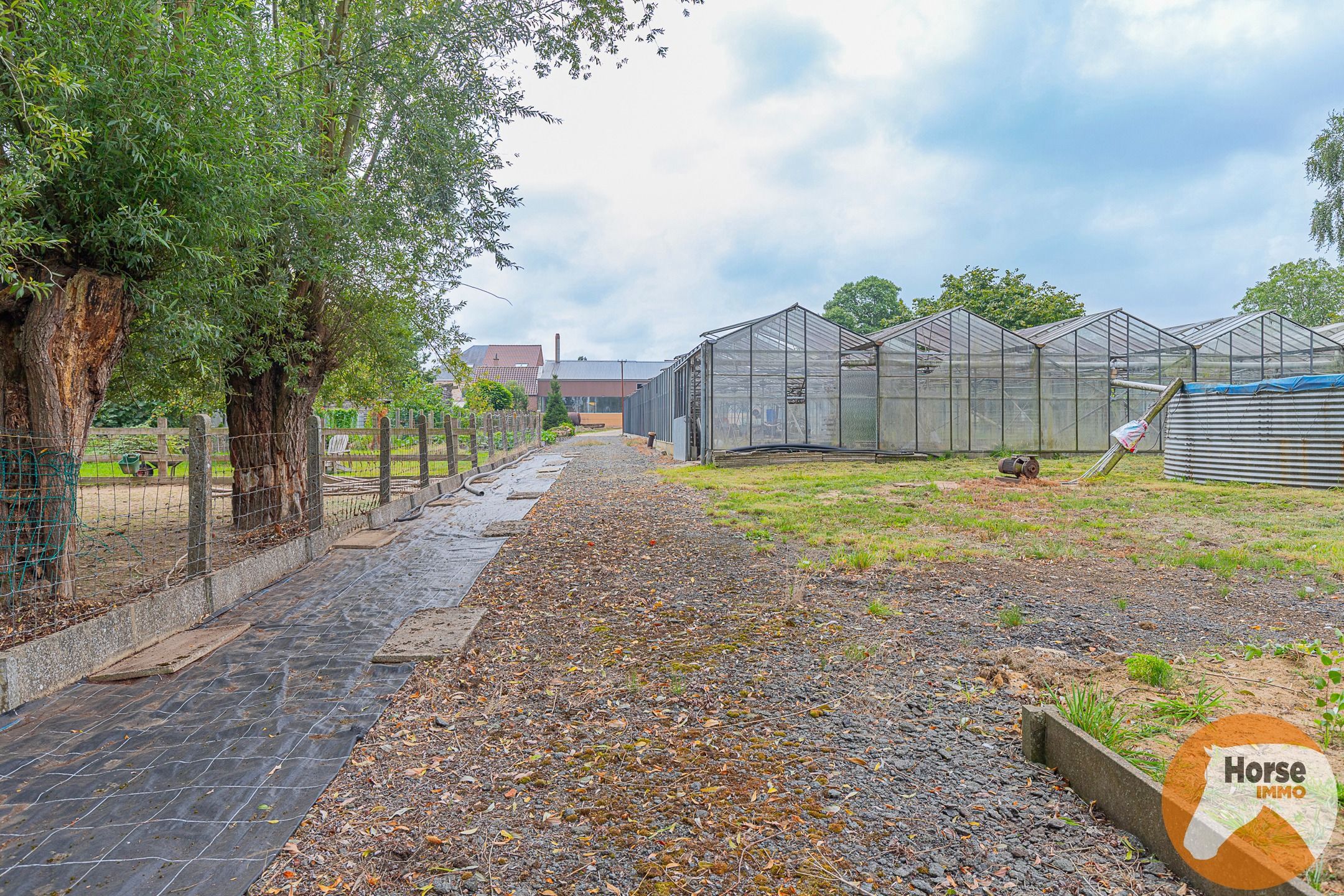 ERPE-MERE - Goed onderhouden woning met magazijn en serres foto 26