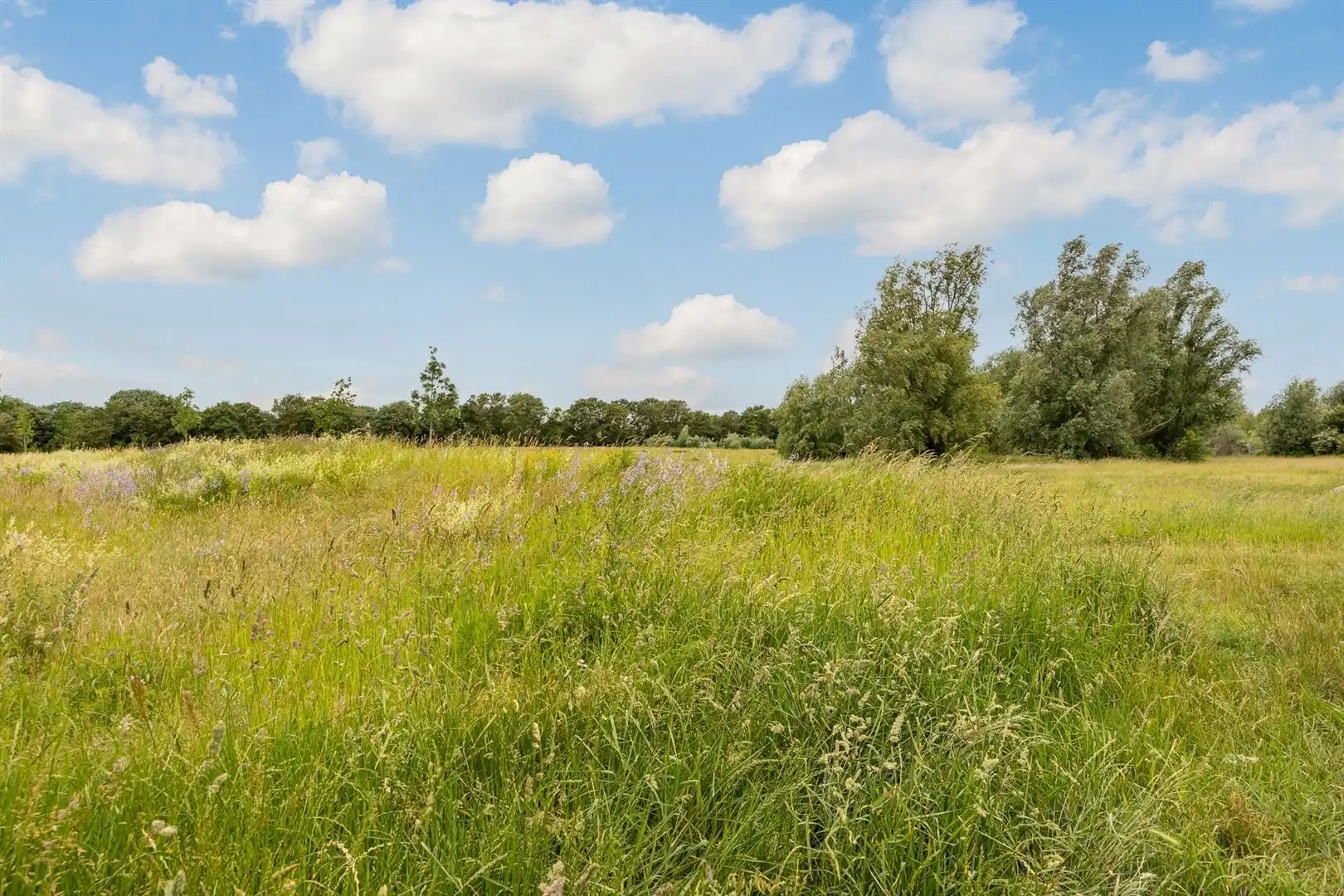 Wonen op het Zuid, met de stad aan je voeten foto 18