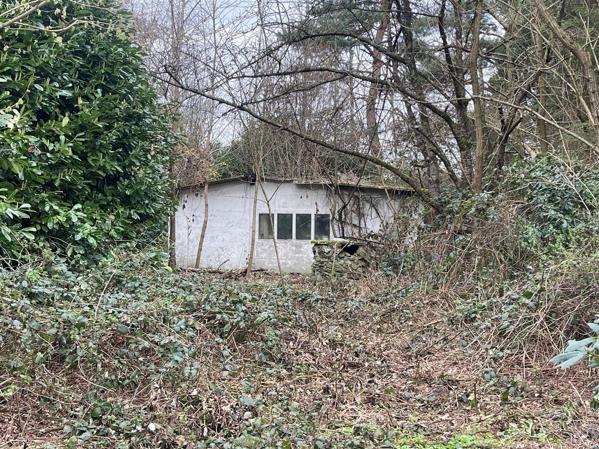 Weiland / Bouwland foto 8