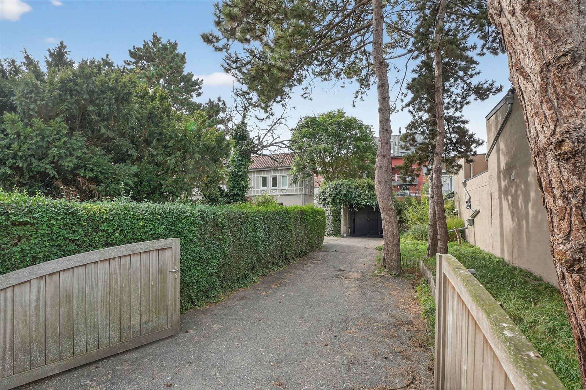 EXCLUSIEF / GROENE OASE  foto 2