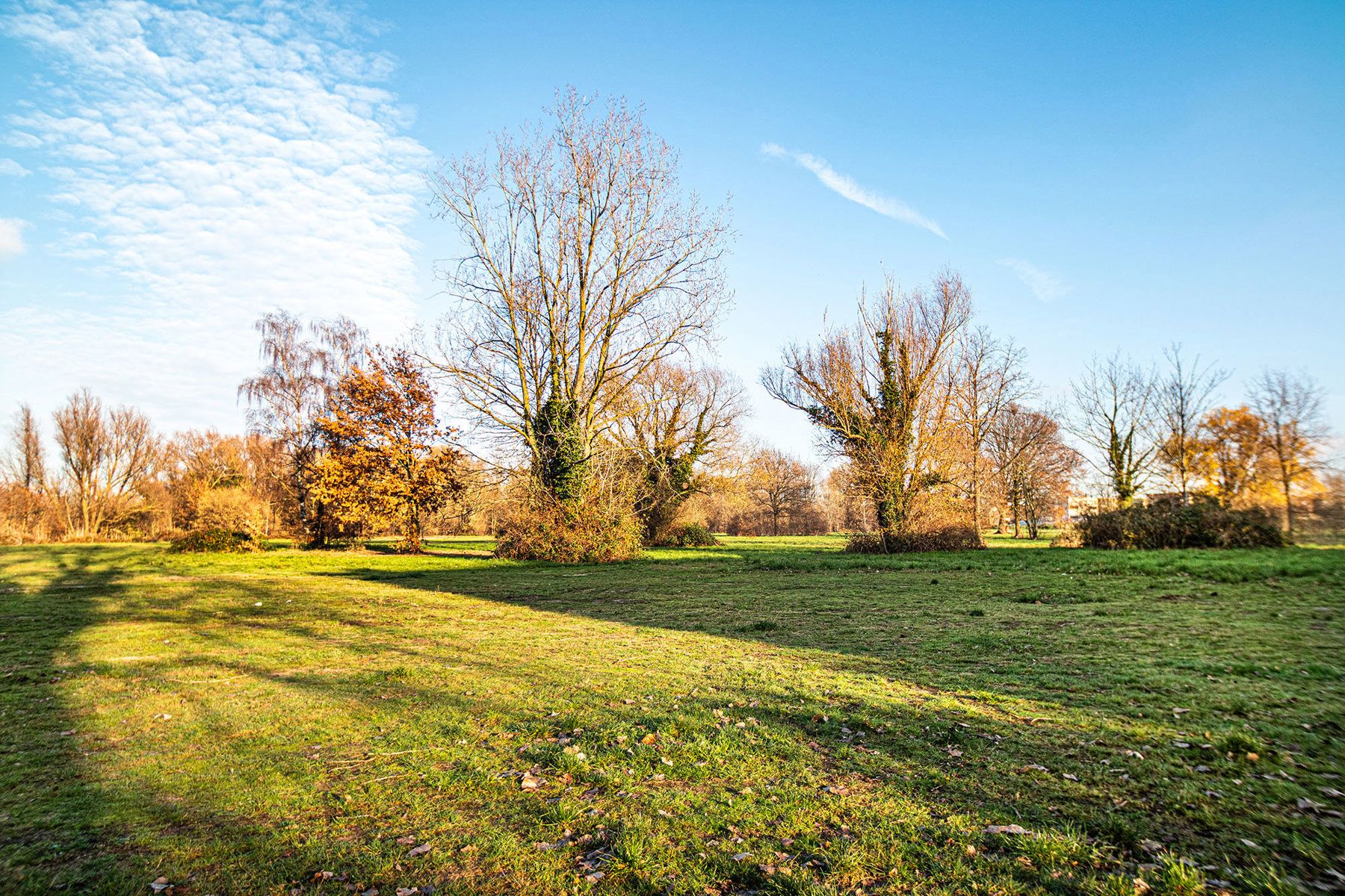 Lichtrijke penthouse met uitzonderlijk uitzicht en 2 garages foto {{pictureIndex}}