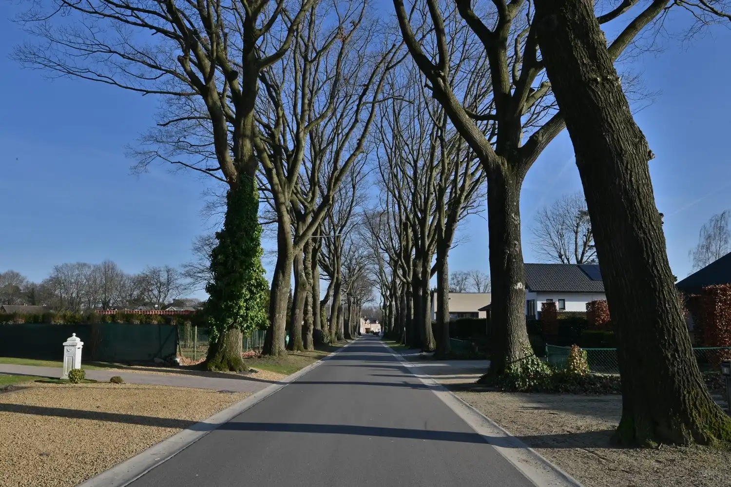 Vrijstaande woning op idyllische dreef, aan de rand van het bos – vlak bij Maastricht foto 19