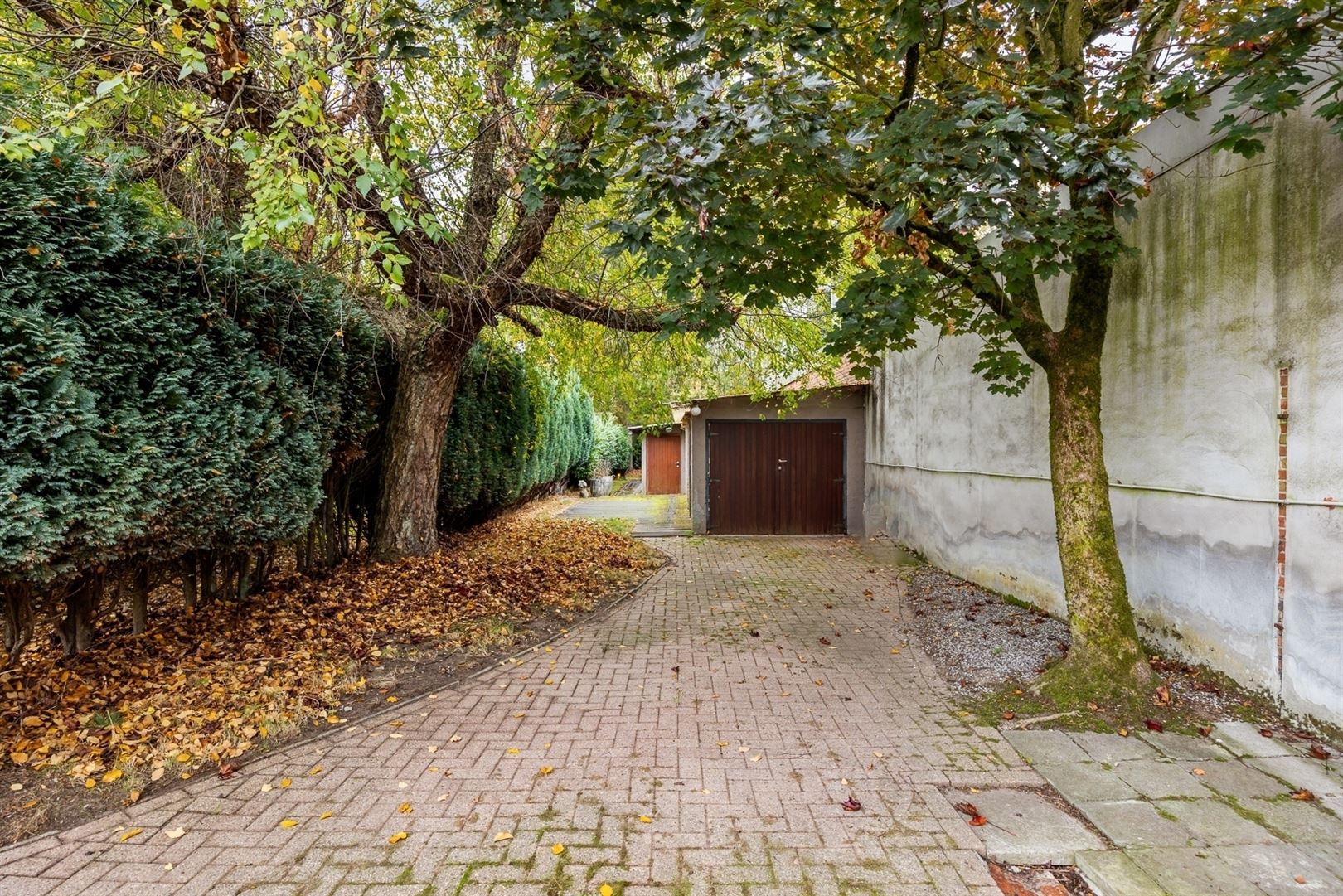 Commerciële ruimte of kantoor te MTH foto 10