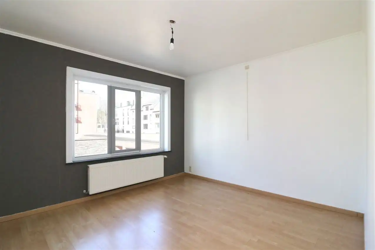 charmant, ruim, mogelijkheid beroep of kangoeroe foto 16