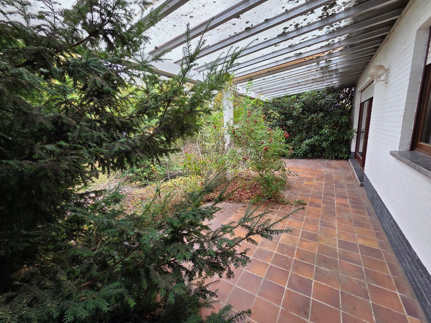 Ruime te renoveren woning met aanpalende gronden voor een totale oppervlakte van 12860 m²! foto 24