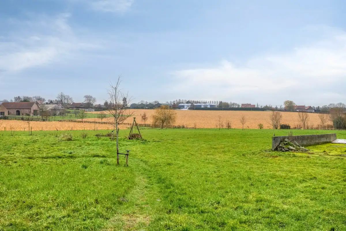 Prachtige te renoveren hoeve op meer dan 2 hectare! foto 6