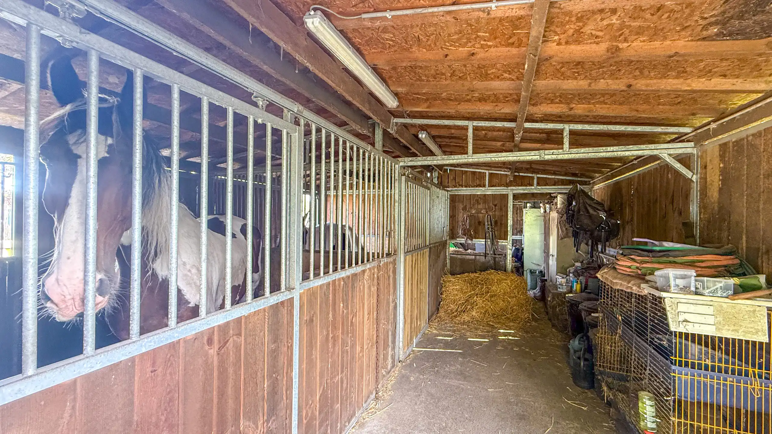 Landelijke woning met 6 slpks op perceel van 36a 70ca! foto 58