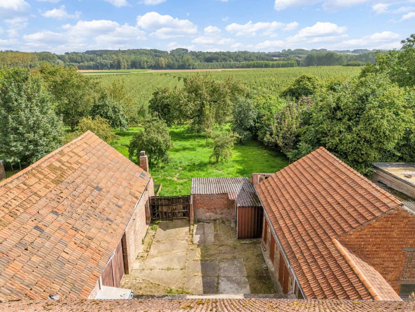 Te renoveren hoeve op een prachtige perceel van 23a 05ca, met weids zicht op de achtergelegen boomgaarden foto 3