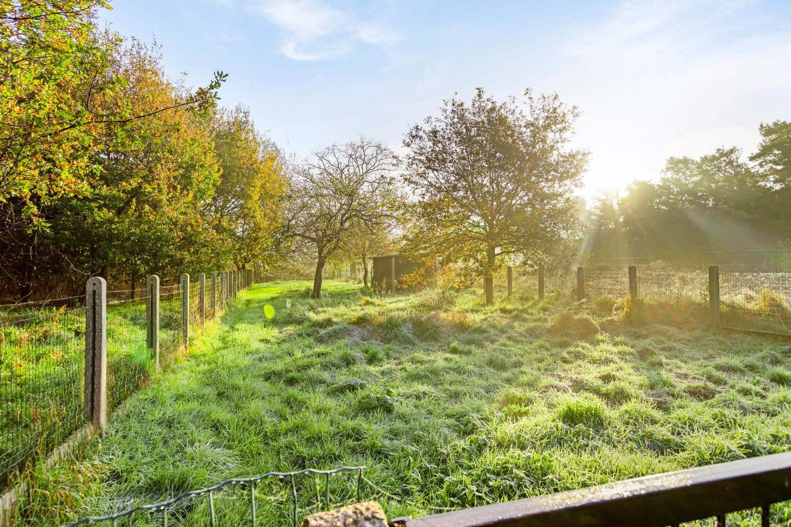 Charmante, instapklare woning op een perceel van +- 10 are !  foto 15