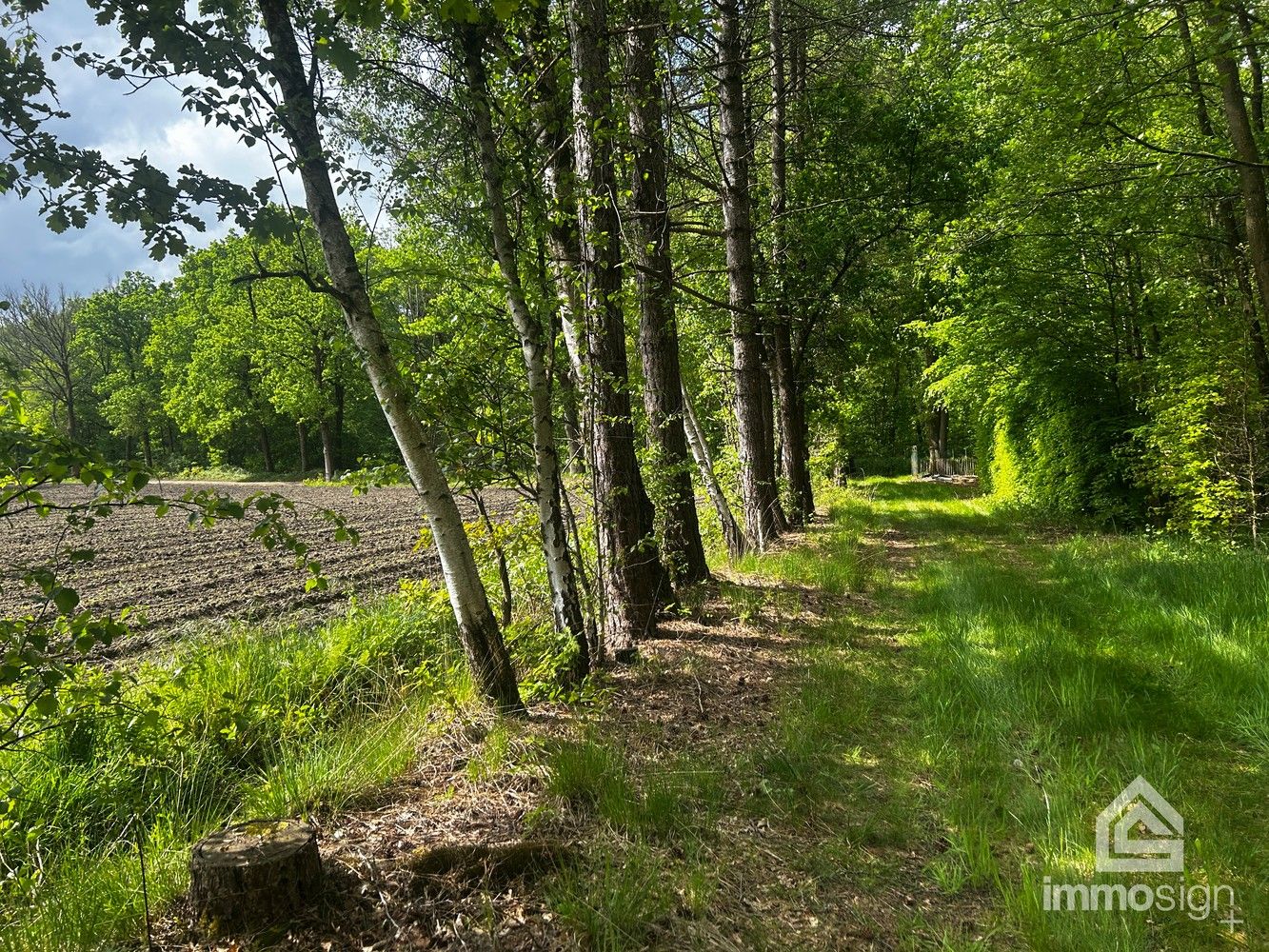 Uniek stukje natuurgebied van 1.470 m² gelegen te Hamont-Achel! foto 19