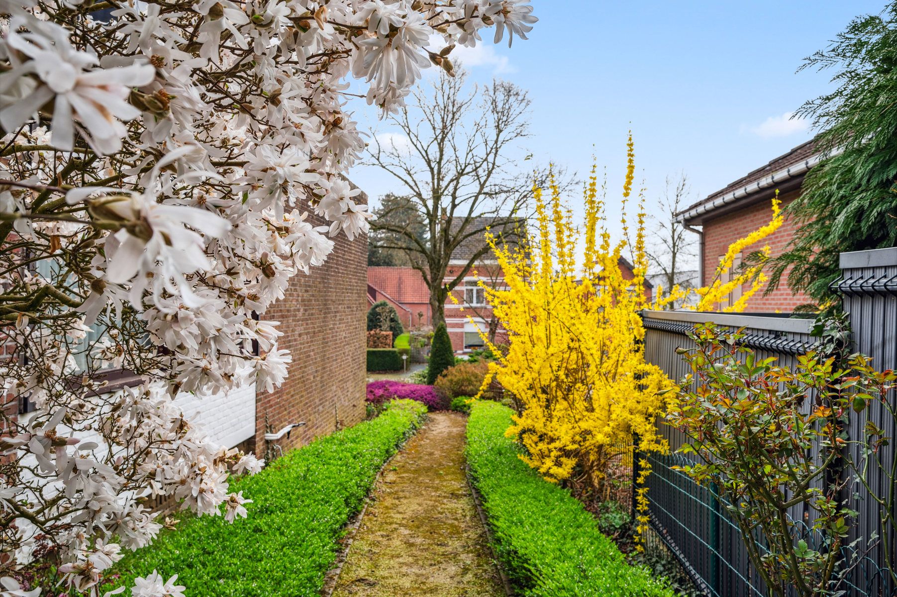 Woning met praktijk- of kangoeroeruimte te HEIST-OP-DEN-BERG foto 25