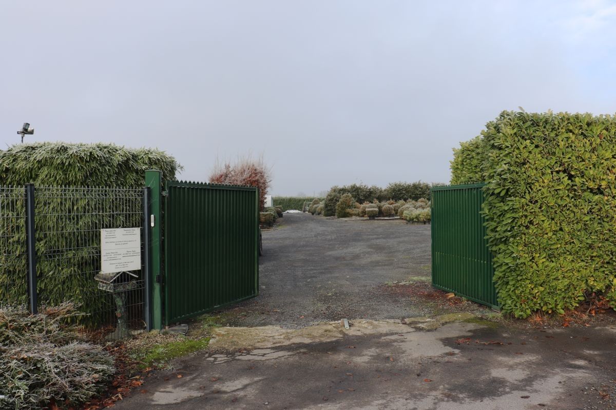 Plantenkwekerij te koop te Zwevegem foto 3