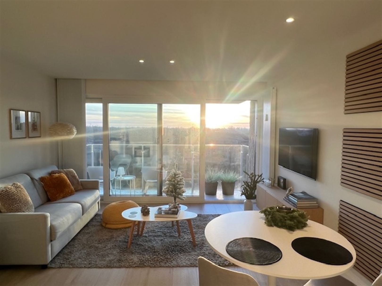 Compleet vernieuwde studio met zicht op duinen zuidgerciht foto 11