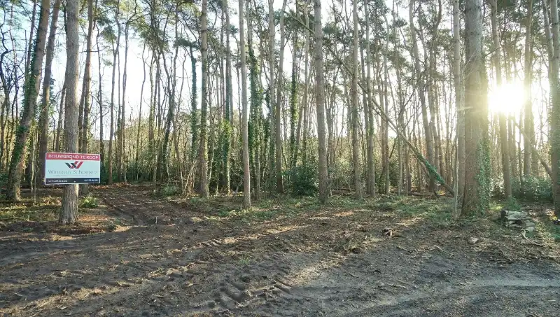 Residentieel gelegen bouwgrond van 31 are met 37 are bosgrond nabij golf- en meerdomein foto 6