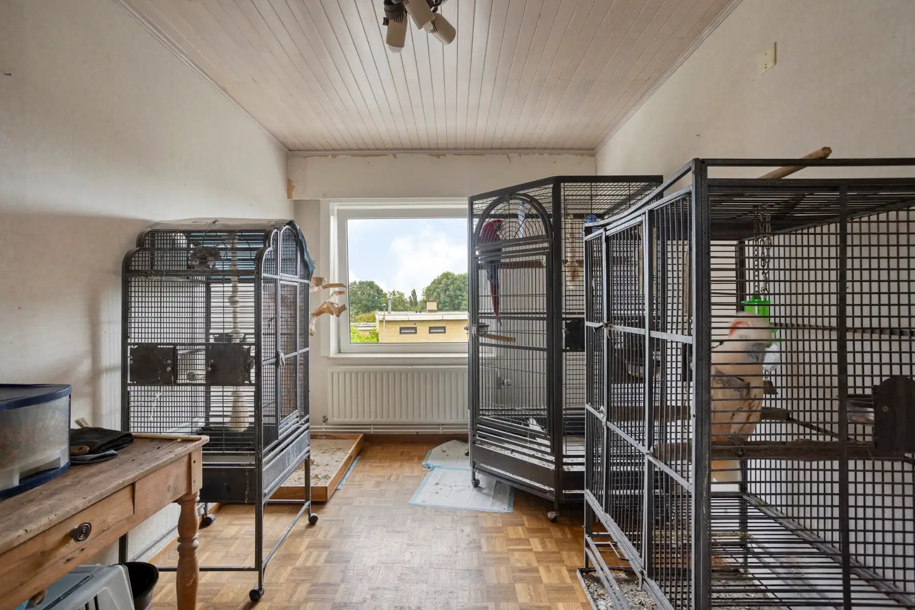 Rustig gelegen woning in verkeersluwe straat. foto 15