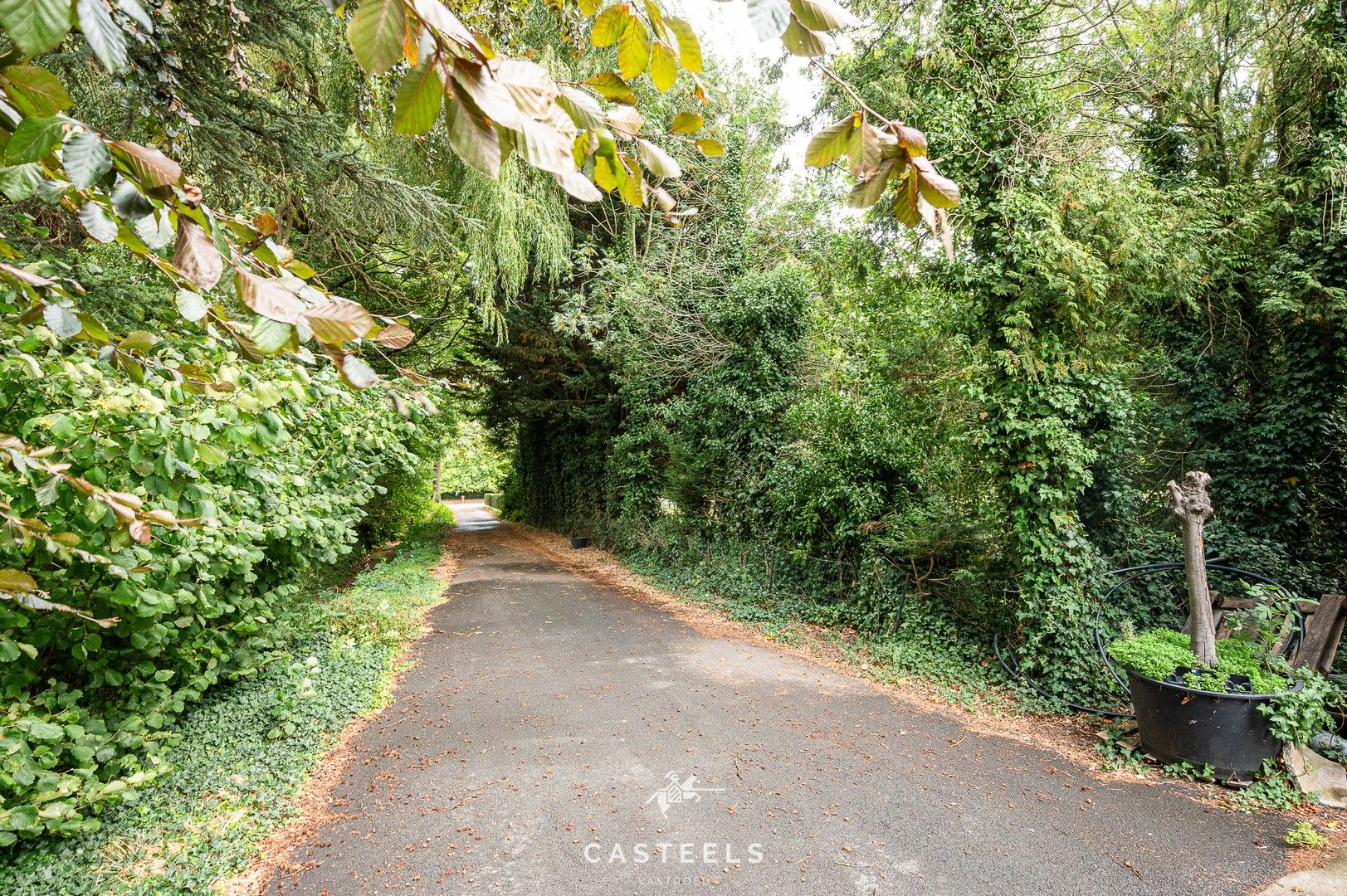 Serre op agrarische grond met logistieke toegangsweg foto 8