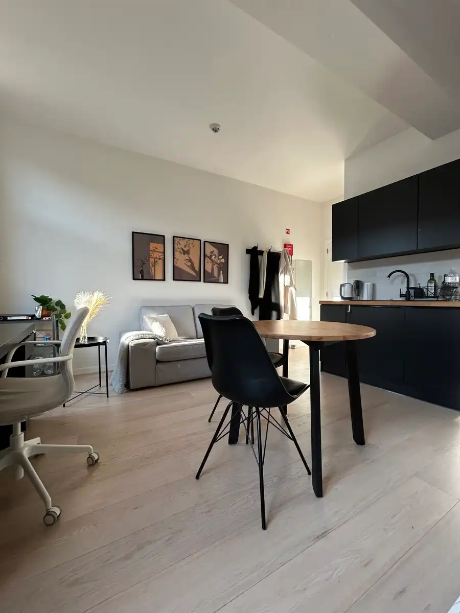 Bemeubelde studio met privatief terras. foto 5