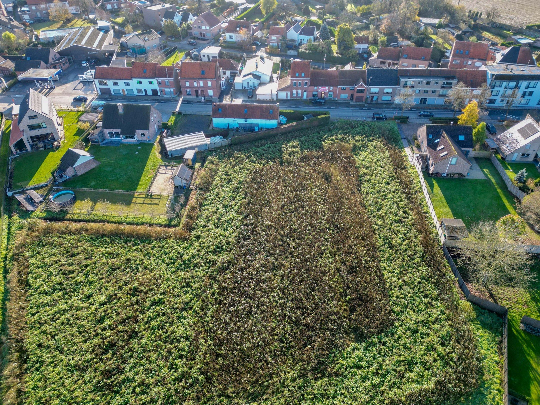 BOUWGROND MET VERZICHT foto 4