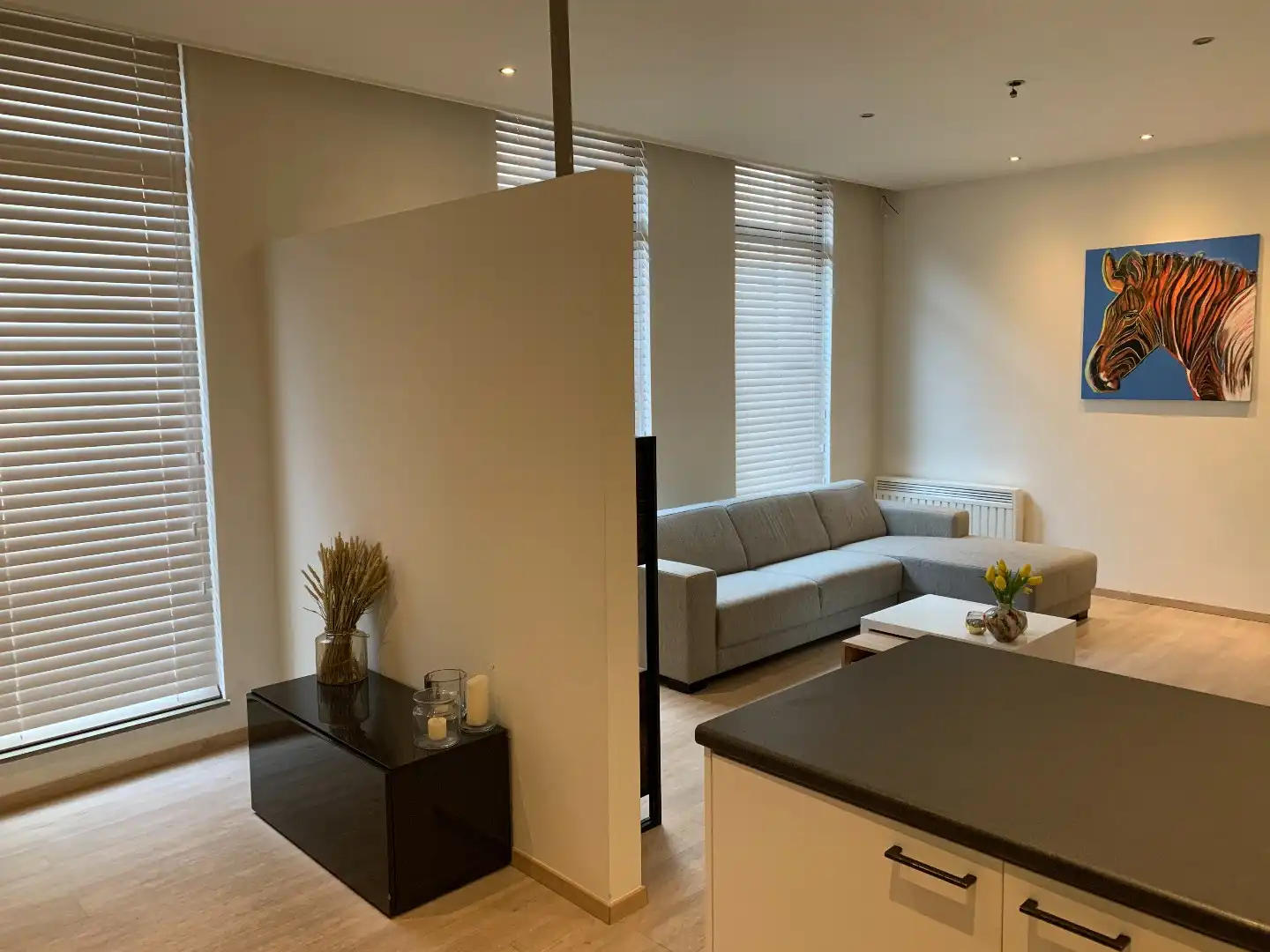 Hedendaags, gelijkvloers appartement in het centrum van Maaseik!  foto 6